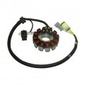Tc-motor 12 Coils Magneto Stator For Zongshen Zs177mm 250cc Engine Nc250 Nc450 450cc Dirt Bike Motorcycle
