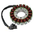 Caltric Stator Fits Honda Cbr600rr Cbr-600rr Cbr 600rr