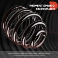 A-premium 2pcs Rear Suspension Coil Spring Set Compatible With Bmw E36 3-series 328i 320i 318is 318i 1991-1998 Driver And
