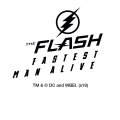 Flash Star Labs Full Size Standard License Plate Metal Frame