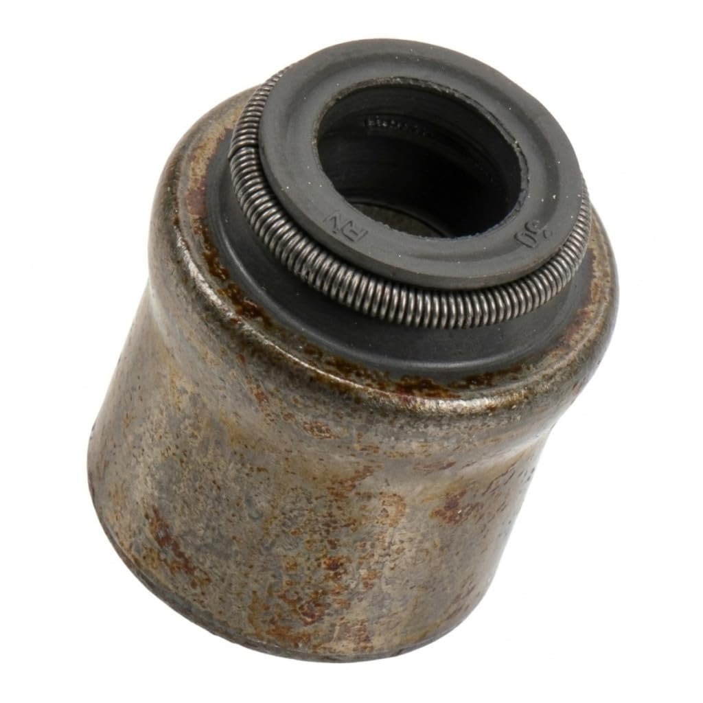 Valve Stem Oil Seal For Chevy Express 1500 2010 To 2014 Gray Rubber And Steel Round Rim 0 236 In 6 Mm Inside Diameter Alx Pau