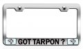 Got Tarpon Fishing Chrome Metal License Plate Frame Tag Holder S3 