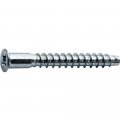 Firmit Connecting Screw 5 X 40 Mm 
