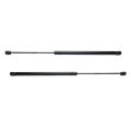 Lift Supports For Gmc Safari 2001 2002 2003 2004 2005 Back Glass Liftgate Pair Driver And Passenger Side Replacement 15988041 