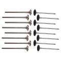 Intake Exhaust Valves For Bmw And Mini N13 N18 1 6t Fits 118i Cooper S F20 F30 R55 R56 Replace 11347585901 11347547187 16 