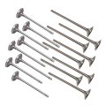 Intake Exhaust Valves For Bmw And Mini N13 N18 1 6t Fits 118i Cooper S F20 F30 R55 R56 Replace 11347585901 11347547187 16