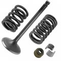 Caltric Intake Valve Kit Compatible With Yamaha Big Bear 350 Yfm350fw 4x4 1999 1uy-12111-01-00