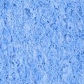 Uxcell Soldering Sponge 50 7x35 4x3mm For Iron Tips Cleaner Rectangle Blue 10pcs
