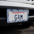 Sailfish Marlin Deep Sea Sport Fishing License Plate Tag Frame