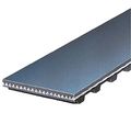 Gates T295 Engine Timing Belt 
