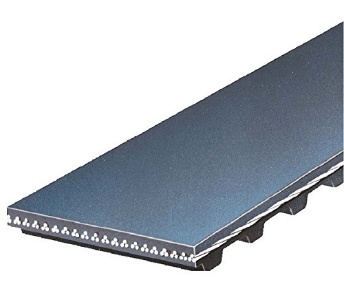 Gates T295 Engine Timing Belt