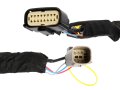 Usr Unique Style Racing 18-20 1ft F150 Pickup Tail Light Wire Kit Left Right For 2018-2020 Ford F-150 Pick Up Truck All Models 
