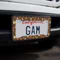 Mushroom Fungi Fungus Pattern License Plate Tag Frame