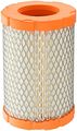 Fram Ca10065 Extra Guard Radial-seal Air Filter 