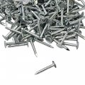 200 Pack 1 Inch Galvanized Roofing Nails Professional Grade Used To Fasten Felt Asphalt Singles Insulation Board