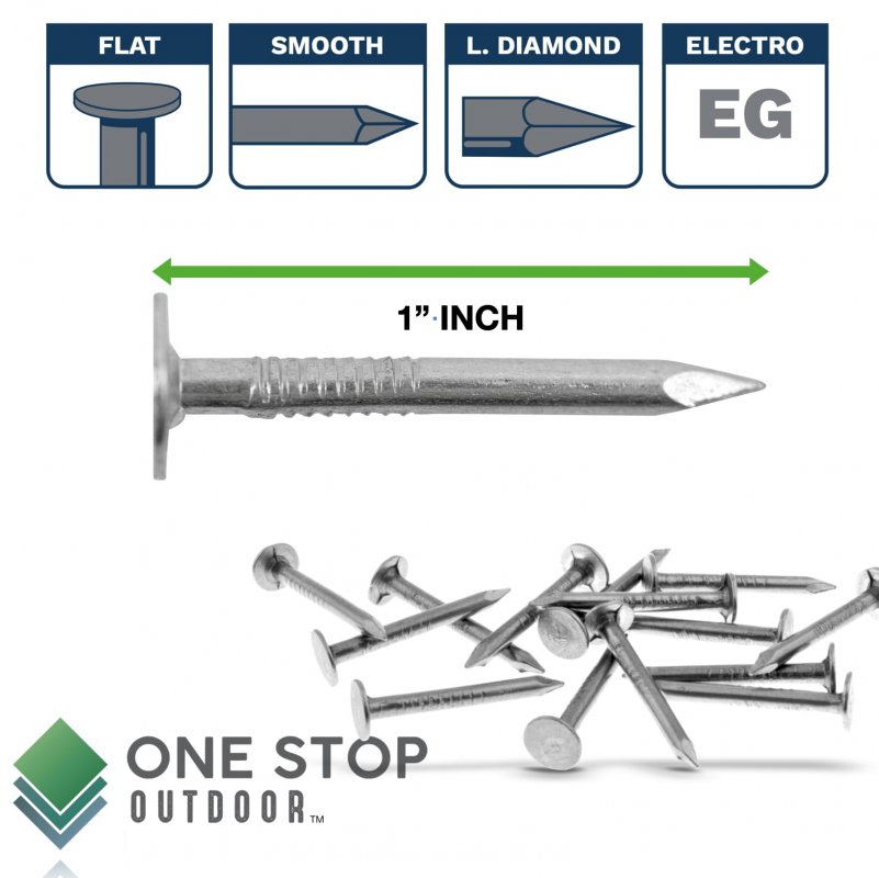 200 Pack 1 Inch Galvanized Roofing Nails Professional Grade Used To Fasten Felt Asphalt Singles Insulation Board
