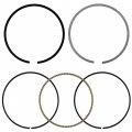 Caltric Piston Rings Compatible With Honda Xl250s 1979-1981 Atc250sx 1985-1986 Big Red 250 Atc250es 1985-1987
