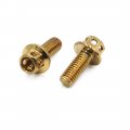 Uxcell 14pcs Gold Tone M6 X 15 Motorcycle Stainless Steel Titanium Plated Hexagon Bolts Clips Screws