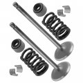 Caltric 2x Intake Valve Kit Compatible With Yamaha 28p-12111-00-00 5vk-12113-00-00 4g0-12118-00-00
