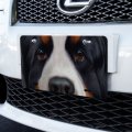 Graphics More Bernese Mountain Dog Face Closeup Novelty Metal Vanity Tag License Plate 