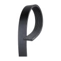 V Ribbed Serpentine Belt For Gmc Safari 1990 6 Rib 2531 Mm Circumference 0 807 In Top Width Gold Standard Olx-acd6k990-cl360a62 