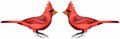 Stickertalk Cardinal Bird Stickers 