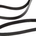V Ribbed Serpentine Belt For Chevy Silverado 2500 2008 Black Rubber 93 31 In Effective Length Alx-pau-ac-12626222-cla7 