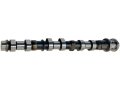Left Driver Side Exhaust Camshaft For 2012 2017 Jeep Wrangler 3 6l V6 Vin G Dohc Stock Replacement Grind W0148 Z139144 
