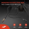 A-premium O2 Oxygen Sensor Compatible With Audi A8 Quattro 2005 2006 2007 6 0l Upstream Downstream 2-pc Set