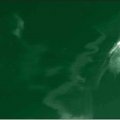 Revco 6x6v1-grn 6 X6 14mil 1 Panel Green Saf-vu Welding Screen Only 