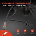 A-premium O2 Oxygen Sensor Compatible With Porsche Boxster 2005-2012 911 2007-2011 Cayenne 2008-2010 2015-2018 Cayman 2006-2012