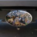 Olympic National Park Washington Wa Animals Cougar Bear Elk Beaver Oval Tow Trailer Hitch Cover Plug Insert