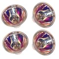 4 Pack 12v 100w Mr16 Halogen Lamp Gz6 35 Bi Pin Base For Elmo Vp D100 St 600 800 K 100 Sm Hivision Sc 18 K110 K120 180 Gs 