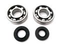 Boss Bearing 41-3209-10e3 Main Crank Shaft Bearings And Seals Kit Kawasaki Kx250 