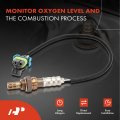 A-premium O2 Oxygen Sensor Compatible With Chevy Gmc Buick Hummer More Colorado Equinox Malibu Captiva Sport Trailblazer Canyon