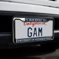 University Of Wisconsin Stout Mascot Full Size Standard License Plate Metal Frame