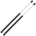 Trunk Lift Supports Struts For Volkswagen Jetta 2011 2017 Rear Gas Springs Shocks Set Of 2 Fits Pm1130 19 17 In Extended Length 