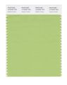 Pantone Smart 14-0226x Color Swatch Card Opaline Green 