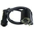 Glenparts Ignition Coil For Yamaha Wolverine 350 Yfm350 1995 1996 1997 1998 1999 2000 2001 