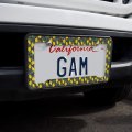 Lemon Goodness License Plate Tag Frame