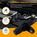 Engine Camshaft Position Sensor 90919-05060 For Toyota And Lexus 1 Pack Replacement Part Matrix Camry Corolla Rav4 More
