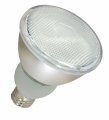 Satco S7206 15-watt Medium Base Par30 5000k 120v Equivalent To 50-watt Incandescent Lamp With U L Wet Location Listed 
