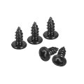 6 X 5 16 Phillips Pan Head Self-tapping Screw 50pcs 304 Stainless Steel Round Wood Full Thread Black 