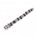 Camshaft 24100 42200 For Hyundai D4bh Engine 