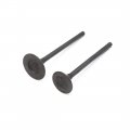 Uxcell 2pcs Metal Motorcycle Motorbike Engine Motor Exhaust Intake Valve For Cg-125
