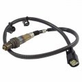 Motorcraft Dy1163 Exhaust Gas Sensor 