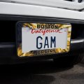 Boston Bruins Tie Dye License Plate Tag Frame