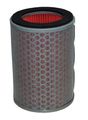 Hiflofiltro Hfa1602 Premium Oe Replacement Air Filter 