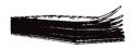 Koronis Windshield Blanks Clear 451-082 5 