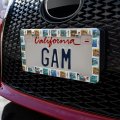 Fish Paintings Lures River Fishing License Plate Tag Frame